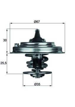 TX 30 87D Termostat, chladivo BEHR MAHLE