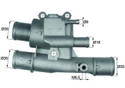 TI 123 88 Termostat, chladivo BEHR MAHLE