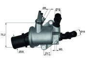 TI 143 88 Termostat, chladivo BEHR MAHLE