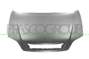 OP0173100 Kapota motoru PRASCO