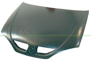 RN0273100 Kapota motoru PRASCO