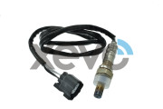 XLS1136 Lambda sonda Xevo ELTA AUTOMOTIVE