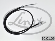 10.01.09 0 LINEX