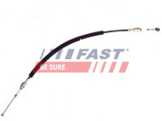 FT73019 0 FAST