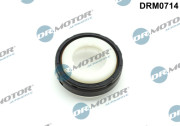 DRM0714 0 Dr.Motor Automotive