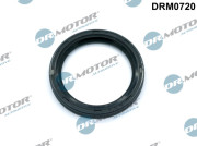 DRM0720 0 Dr.Motor Automotive