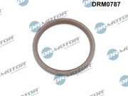 DRM0787 0 Dr.Motor Automotive